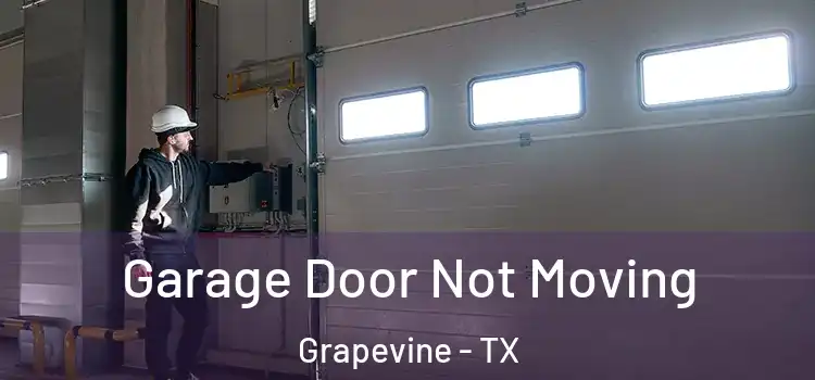  Garage Door Not Moving Grapevine - TX