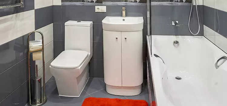 Hansgrohe Shaving Mirror Grapevine